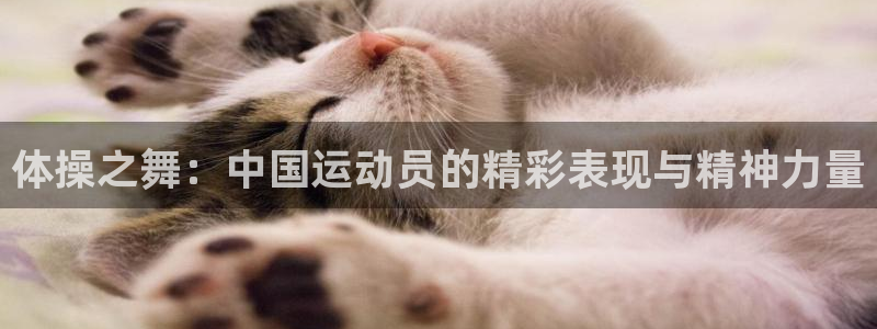 op7体育官方网站：体操之舞：中国运动员的精彩表现与精神力量